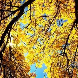 Meet your Posher, Charles